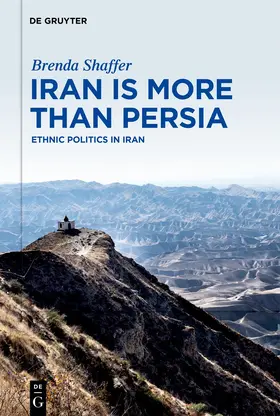 Shaffer | Iran is More Than Persia | Buch | 978-3-11-162752-6 | sack.de