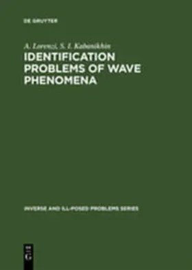 Lorenzi / Kabanikhin |  Identification Problems of Wave Phenomena | Buch |  Sack Fachmedien