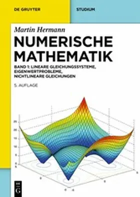 [unknown] / Hermann |  Numerische Mathematik | eBook | Sack Fachmedien