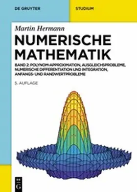 Hermann | Numerische Mathematik | E-Book | www.sack.de