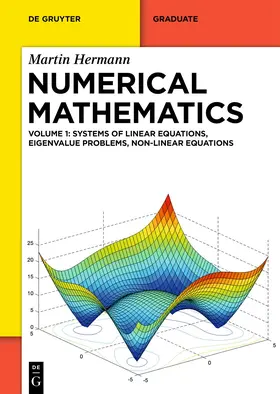 Hermann |  Numerical Mathematics | eBook | Sack Fachmedien