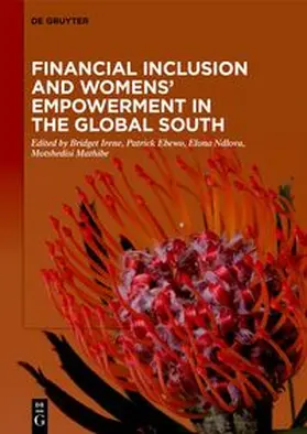Irene / Ebewo / Ndlovu |  Financial Inclusion and Womens’ Empowerment in the Global South | eBook | Sack Fachmedien