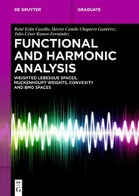 Castillo / Gutiérrez / Ramos-Fernández |  Functional and Harmonic Analysis | eBook | Sack Fachmedien