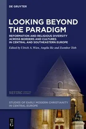 Ilic / Tóth / Wien |  Looking beyond the Paradigm | eBook | Sack Fachmedien