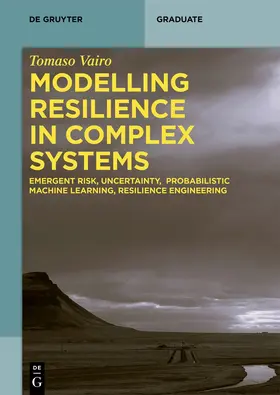 Tomaso |  Modelling Resilience in Complex Systems | Buch |  Sack Fachmedien