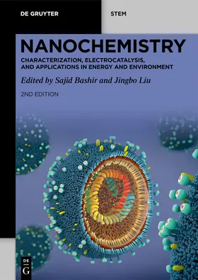 Bashir / Liu |  Nanochemistry | Buch |  Sack Fachmedien