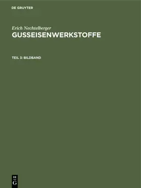Nechtelberger | Bildband | Buch | 978-3-11-232707-4 | www.sack.de
