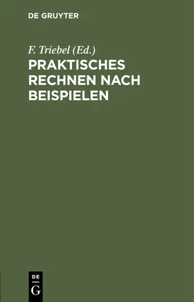 Triebel | Praktisches Rechnen nach Beispielen | Buch | 978-3-11-242703-3 | sack.de