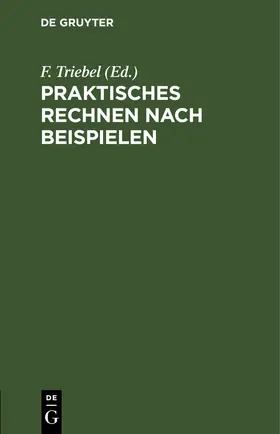 Triebel | Praktisches Rechnen nach Beispielen | E-Book | sack.de