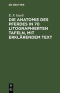 Gurlt |  Die Anatomie des Pferdes in 70 litographierten Tafeln, mit erklärendem Text | Buch |  Sack Fachmedien