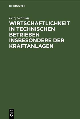 Schmidt | Wirtschaftlichkeit in technischen Betrieben insbesondere der Kraftanlagen | Buch | 978-3-11-246013-9 | sack.de