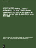 Kahlke |  Die Cervidenresie aus den Altpleistozänen Sanden von Mosbach (Biebrich-Wiesbaden), Teil 1: Die Geweihe, Gehörne und Gebisse | Buch |  Sack Fachmedien