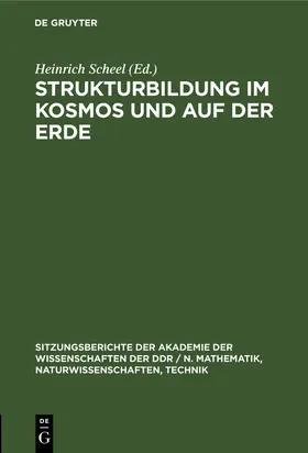 Scheel | Strukturbildung im Kosmos und auf der Erde | Buch | 978-3-11-254825-7 | sack.de