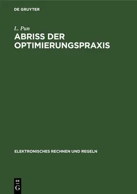 Pun |  Abriss der Optimierungspraxis | eBook | Sack Fachmedien