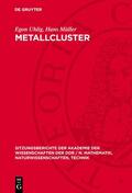 Uhlig / Müller |  Metallcluster | Buch |  Sack Fachmedien