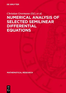 Grormann / Riedrich / Schonheinz |  Numerical Analysis of Selected Semilinear Differential Equations | eBook | Sack Fachmedien