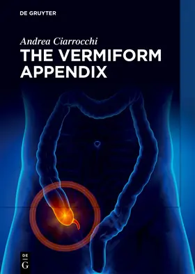 Ciarrocchi |  The Vermiform Appendix | Buch |  Sack Fachmedien