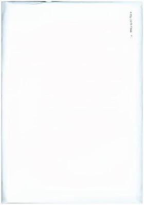  Das Zahlenbuch. 2. Schuljahr. Beilage zum Schülerbuch. Beilagen zum Schülerbuch (5 Ex.). Allgemeine Ausgabe ab 2017 | Buch |  Sack Fachmedien