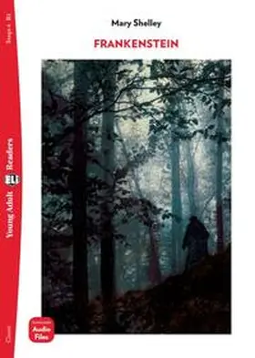 Ferretti / Shelley |  Frankenstein | Buch |  Sack Fachmedien