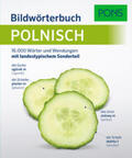  PONS Bildwörterbuch Polnisch | Buch |  Sack Fachmedien