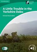 MacAndrew |  A Little Trouble in the Yorkshire Dales | Buch |  Sack Fachmedien