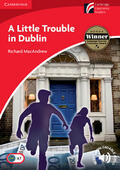MacAndrew |  A Little Trouble in Dublin | Buch |  Sack Fachmedien