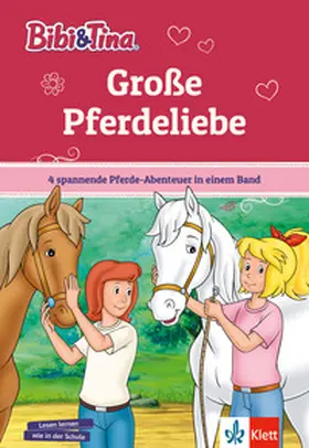 Andreas / Bornstädt / Flechsig |  Bibi & Tina: Große Pferdeliebe | Buch |  Sack Fachmedien