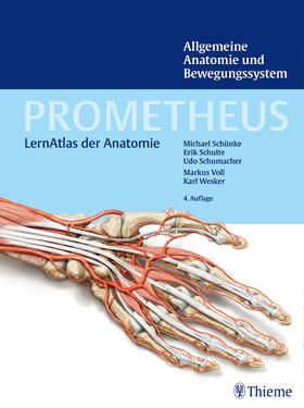 Schünke / Schulte / Schumacher |  PROMETHEUS Allgemeine Anatomie und Bewegungssystem | Buch |  Sack Fachmedien