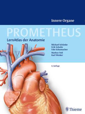 Schünke / Schulte / Schumacher |  PROMETHEUS Innere Organe | Buch |  Sack Fachmedien