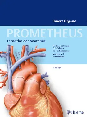 Schünke / Schulte / Schumacher | PROMETHEUS Innere Organe | Buch | 978-3-13-139534-4 | sack.de