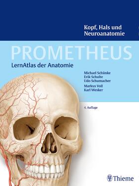 Schünke / Schulte / Schumacher |  PROMETHEUS Kopf, Hals und Neuroanatomie | Buch |  Sack Fachmedien