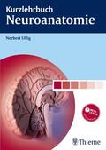 Ulfig |  Kurzlehrbuch Neuroanatomie | Buch |  Sack Fachmedien