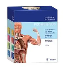Schünke / Schulte / Schumacher | PROMETHEUS LernKarten der Anatomie | Sonstiges | 978-3-13-146895-6 | sack.de