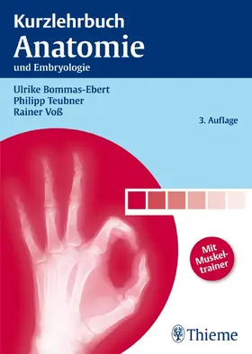 Bommas-Ebert / Teubner / Voß |  Kurzlehrbuch Anatomie | eBook | Sack Fachmedien