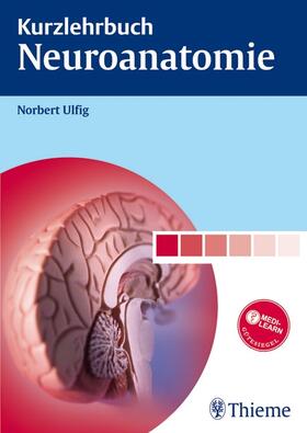 Ulfig | Kurzlehrbuch Neuroanatomie | E-Book | sack.de