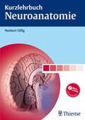 Ulfig |  Kurzlehrbuch Neuroanatomie | eBook | Sack Fachmedien