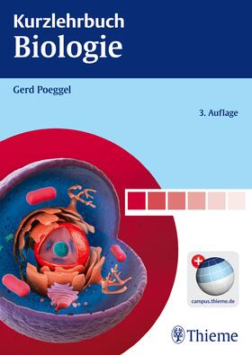 Poeggel | Kurzlehrbuch Biologie | E-Book | sack.de