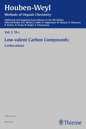 Büchel / Falbe / Hagemann |  Houben-Weyl Methods of Organic Chemistry Vol. E 19c, 4th Edition Supplement | eBook | Sack Fachmedien