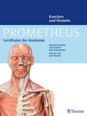 Schulte / Schumacher / Schünke | PROMETHEUS LernPoster der Anatomie, Knochen und Muskeln | Sonstiges | 978-3-13-198261-2 | sack.de