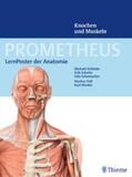 Schulte / Schumacher / Schünke |  PROMETHEUS LernPoster der Anatomie, Knochen und Muskeln | Sonstiges |  Sack Fachmedien