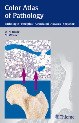 Riede / Werner | Color Atlas of Pathology | E-Book | sack.de