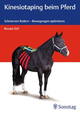 Ettl | Kinesiotaping beim Pferd | Buch | 978-3-13-219521-9 | sack.de