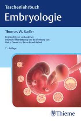 Sadler / Drews / Brand-Saberi | Taschenlehrbuch Embryologie | Buch | 978-3-13-220025-8 | sack.de