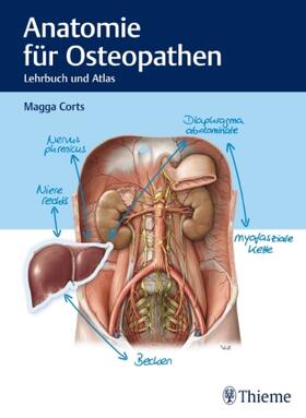 Corts | Corts, M: Anatomie für Osteopathen | Buch | 978-3-13-220621-2 | sack.de