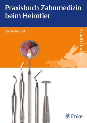 Gabriel | Gabriel, S: Praxisbuch Zahnmedizin beim Heimtier | Buch | 978-3-13-240021-4 | sack.de