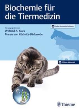 Kues / von Köckritz-Blickwede / Köckritz-Blickwede | Biochemie für die Tiermedizin | Medienkombination | 978-3-13-240165-5 | sack.de