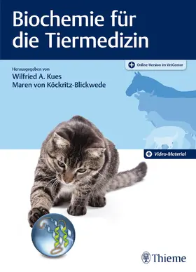 Kues / von Köckritz-Blickwede |  Biochemie für die Tiermedizin | eBook | Sack Fachmedien