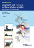 Brötz / Weller |  Diagnostik und Therapie bei Bandscheibenschäden | Buch |  Sack Fachmedien
