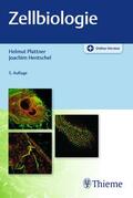 Plattner / Hentschel |  Zellbiologie | eBook | Sack Fachmedien