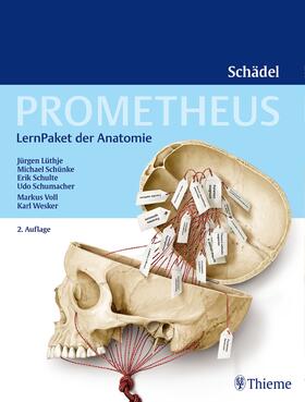 Lüthje / Schulte / Schünke | PROMETHEUS LernPaket Anatomie Schädel | Medienkombination | 978-3-13-240300-0 | sack.de